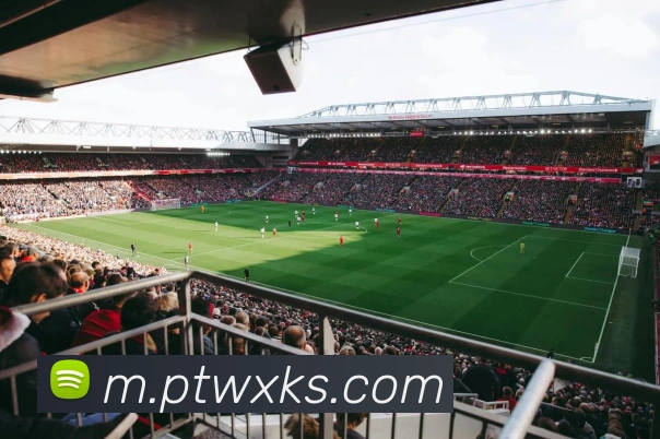 爱游戏官网首页APP 封面图